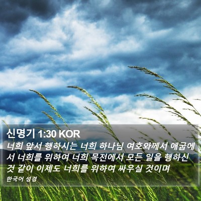신명기 1:30 KOR Bible Verse Image
