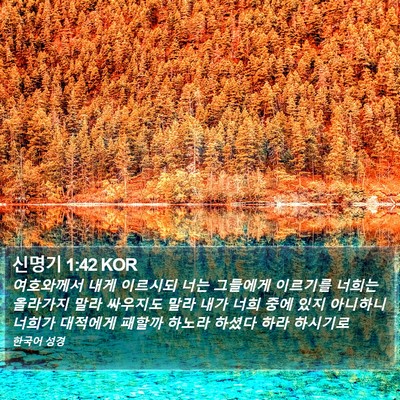신명기 1:42 KOR Bible Verse Image