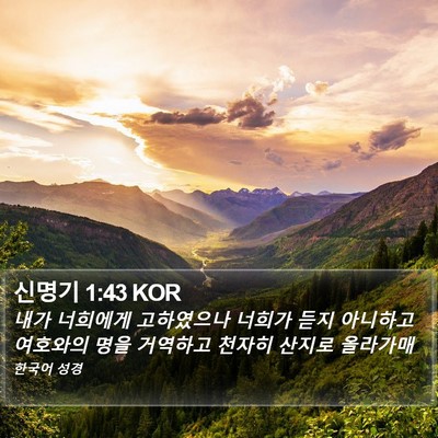 신명기 1:43 KOR Bible Verse Image