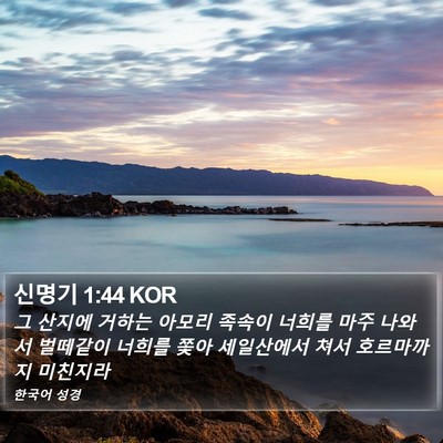신명기 1:44 KOR Bible Verse Image