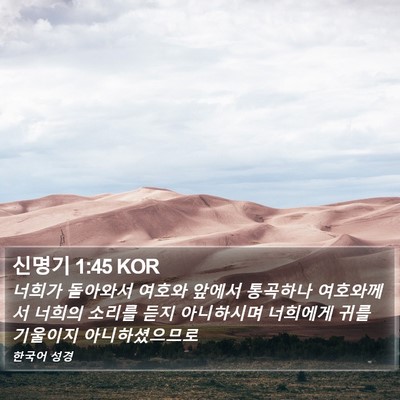 신명기 1:45 KOR Bible Verse Image
