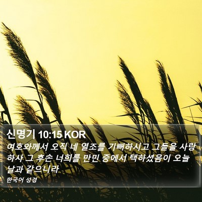 신명기 10:15 KOR Bible Verse Image