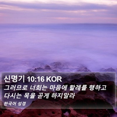 신명기 10:16 KOR Bible Verse Image