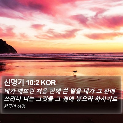 신명기 10:2 KOR Bible Verse Image