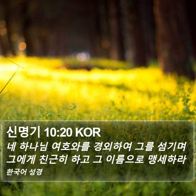 신명기 10:20 KOR Bible Verse Image