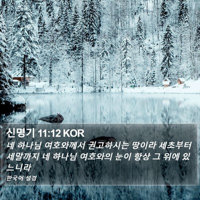 신명기 11:12 KOR Bible Verse Image