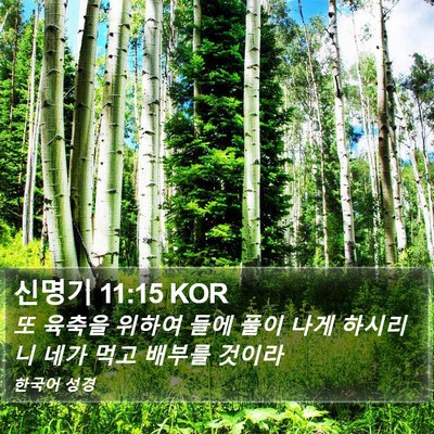 신명기 11:15 KOR Bible Verse Image