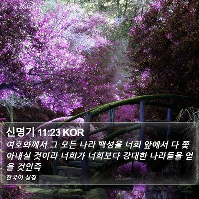 신명기 11:23 KOR Bible Verse Image