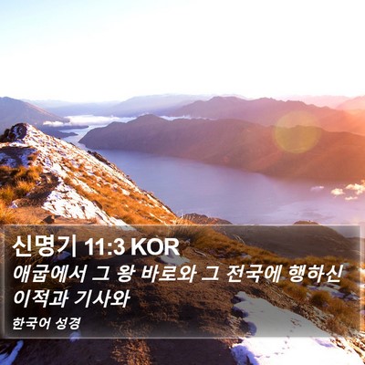 신명기 11:3 KOR Bible Verse Image