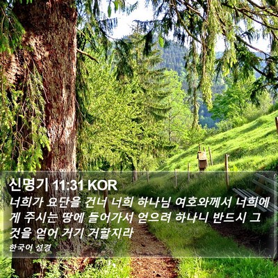 신명기 11:31 KOR Bible Verse Image
