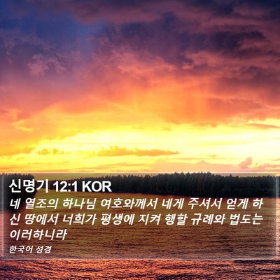 신명기 12:1 KOR Bible Verse Image
