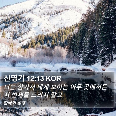 신명기 12:13 KOR Bible Verse Image