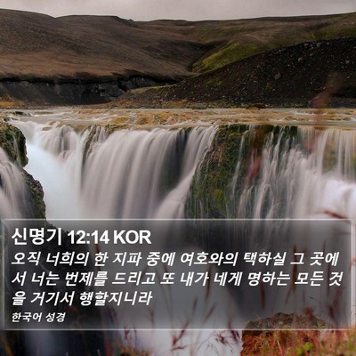 신명기 12:14 KOR Bible Verse Image