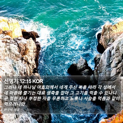 신명기 12:15 KOR Bible Verse Image