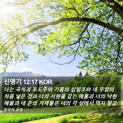 신명기 12:17 KOR Bible Verse Image