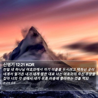 신명기 12:21 KOR Bible Verse Image