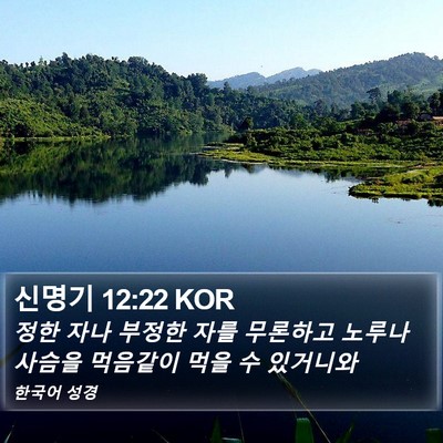 신명기 12:22 KOR Bible Verse Image