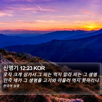 신명기 12:23 KOR Bible Verse Image