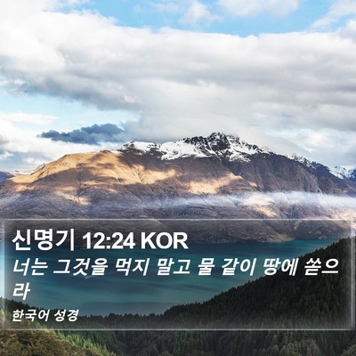 신명기 12:24 KOR Bible Verse Image