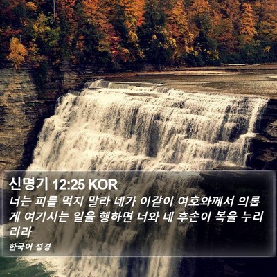 신명기 12:25 KOR Bible Verse Image