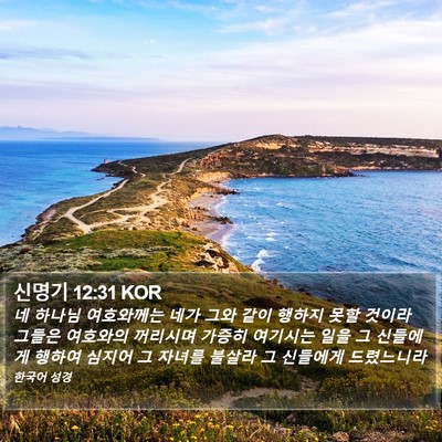 신명기 12:31 KOR Bible Verse Image