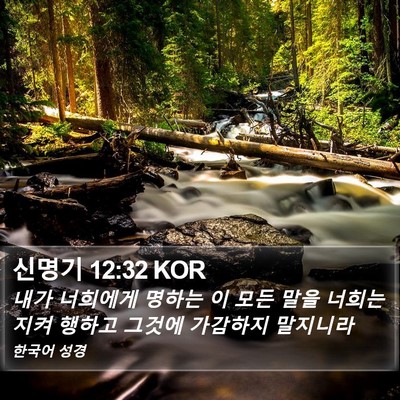 신명기 12:32 KOR Bible Verse Image