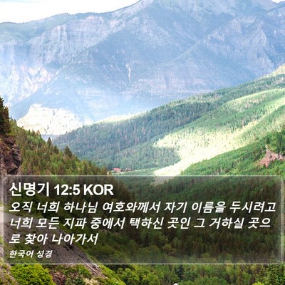 신명기 12:5 KOR Bible Verse Image