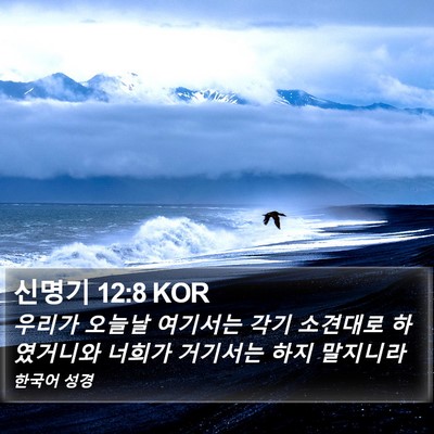 신명기 12:8 KOR Bible Verse Image