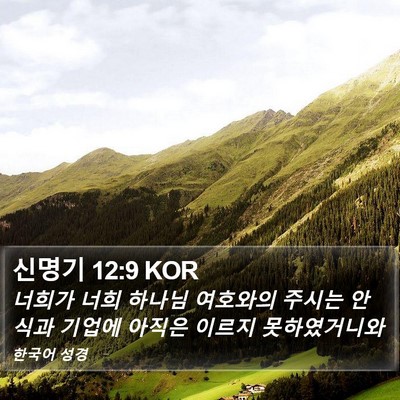 신명기 12:9 KOR Bible Verse Image