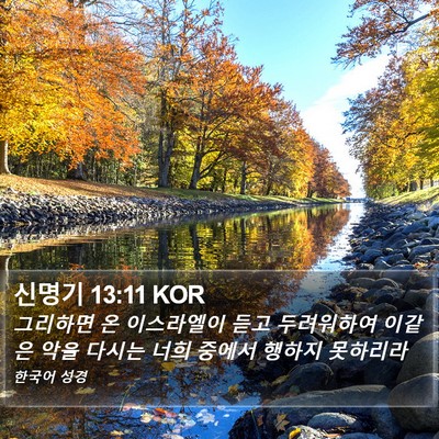 신명기 13:11 KOR Bible Verse Image