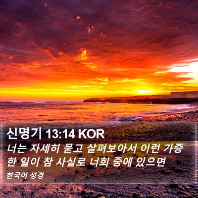 신명기 13:14 KOR Bible Verse Image