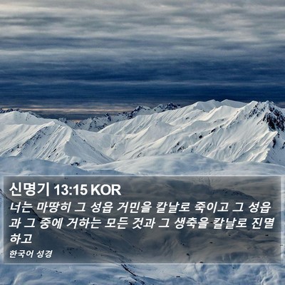 신명기 13:15 KOR Bible Verse Image