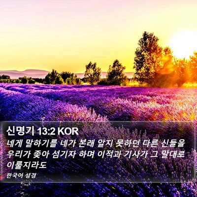 신명기 13:2 KOR Bible Verse Image
