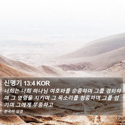 신명기 13:4 KOR Bible Verse Image