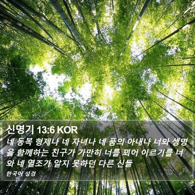신명기 13:6 KOR Bible Verse Image