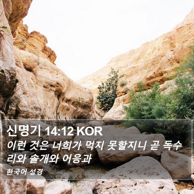 신명기 14:12 KOR Bible Verse Image