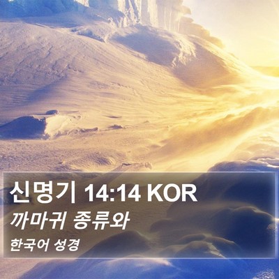 신명기 14:14 KOR Bible Verse Image