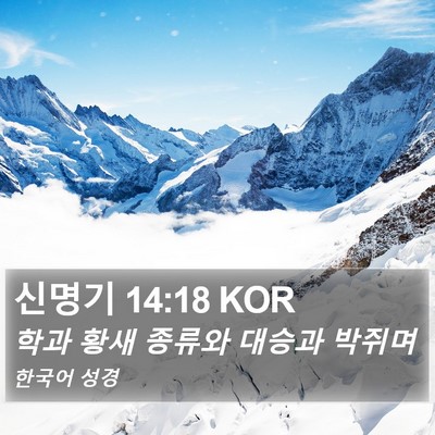 신명기 14:18 KOR Bible Verse Image