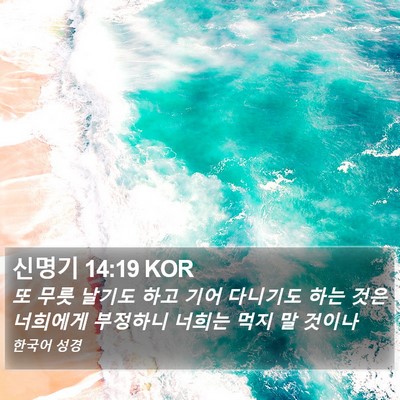 신명기 14:19 KOR Bible Verse Image