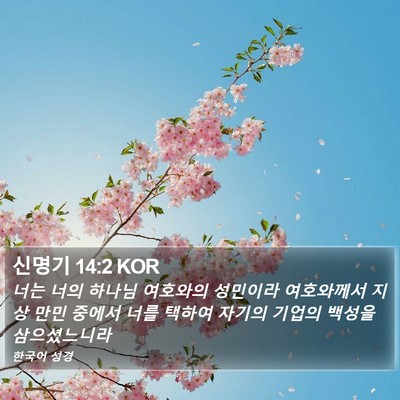 신명기 14:2 KOR Bible Verse Image