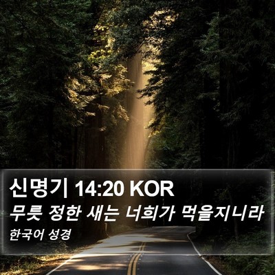 신명기 14:20 KOR Bible Verse Image