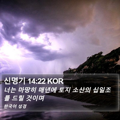 신명기 14:22 KOR Bible Verse Image