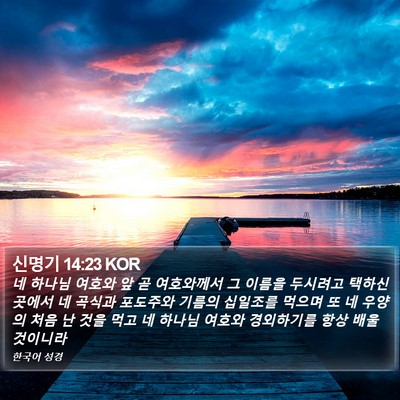 신명기 14:23 KOR Bible Verse Image