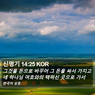 신명기 14:25 KOR Bible Verse Image