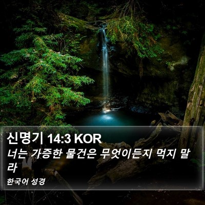 신명기 14:3 KOR Bible Verse Image