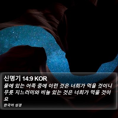 신명기 14:9 KOR Bible Verse Image