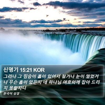 신명기 15:21 KOR Bible Verse Image