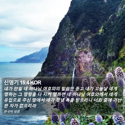 신명기 15:4 KOR Bible Verse Image