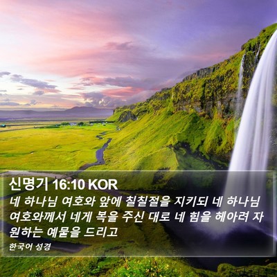 신명기 16:10 KOR Bible Verse Image
