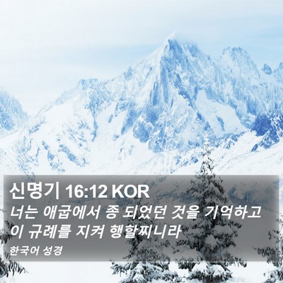 신명기 16:12 KOR Bible Verse Image